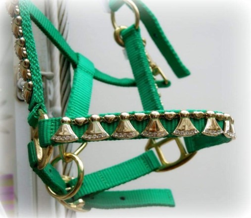 Web Laced Halter
